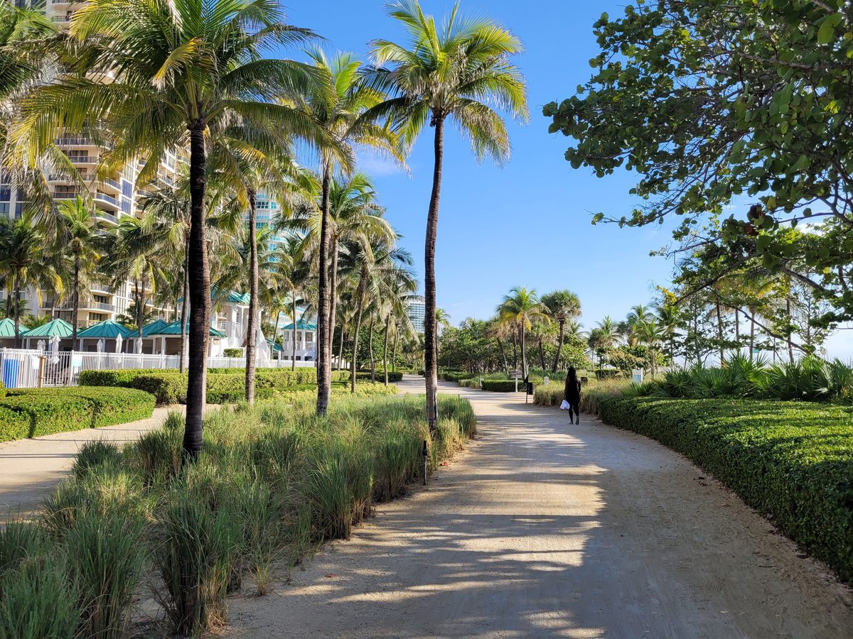 Landscaped commercial grounds with palm trees and a walkway