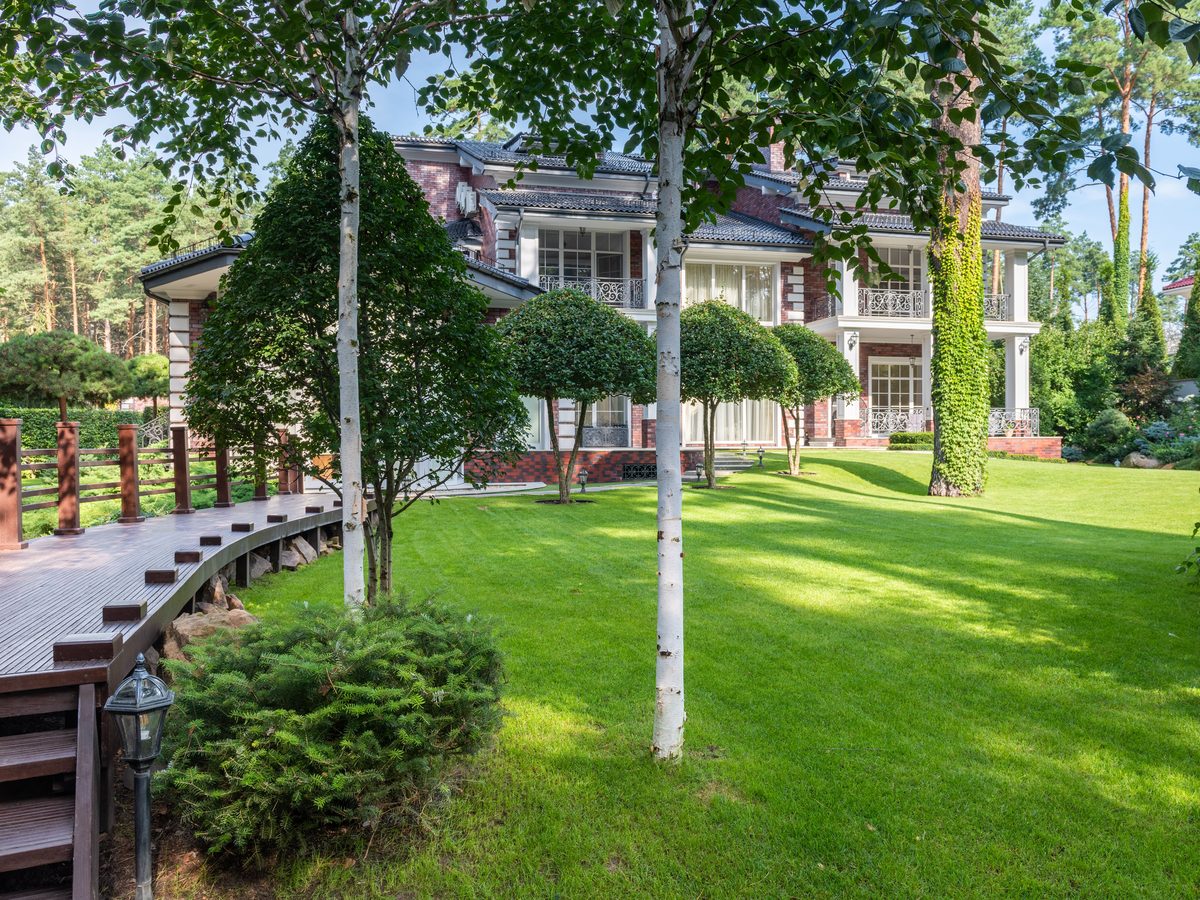 Backyard transformation with a manicured lawn and landscaping